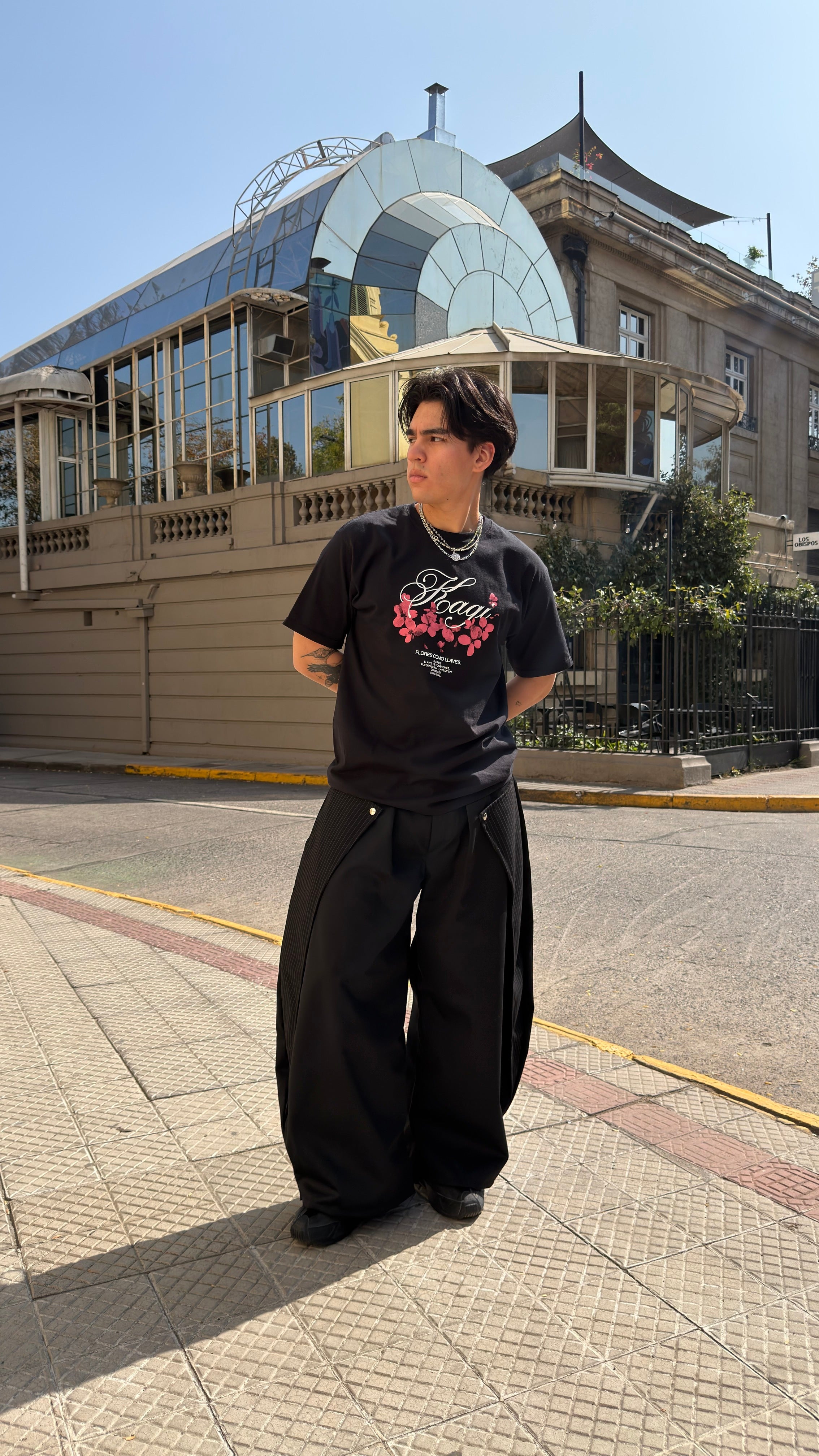 PANT VI