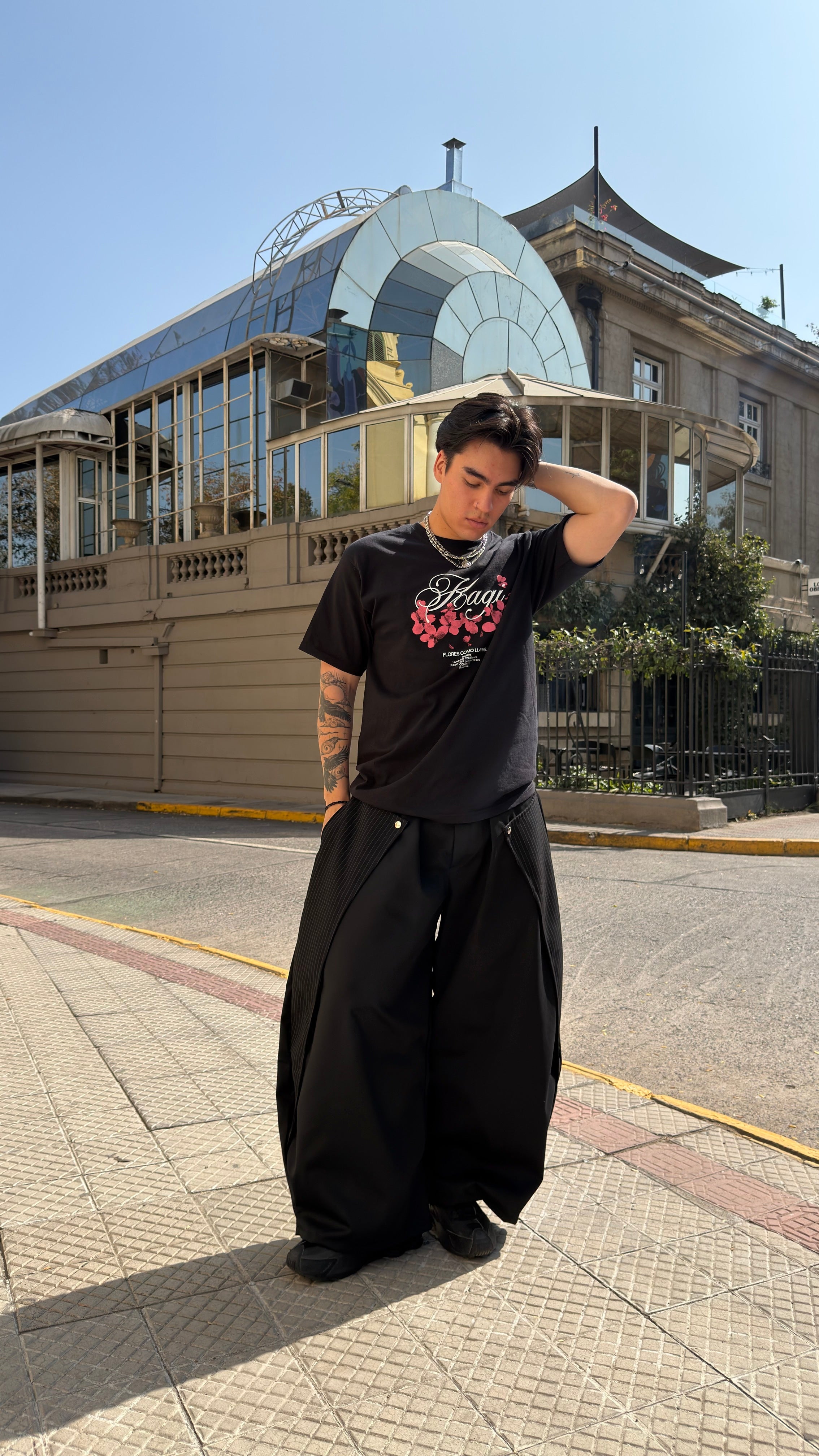 PANT VI